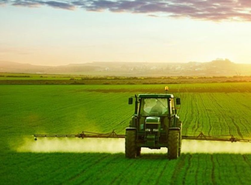 Tractor spraying a field of wheat